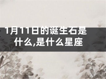 1月11日的诞生石是什么,是什么星座