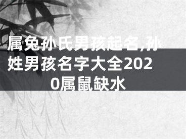 属兔孙氏男孩起名,孙姓男孩名字大全2020属鼠缺水