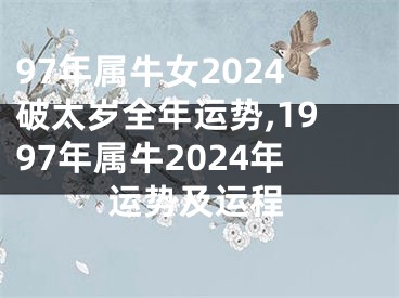 97年属牛女2024破太岁全年运势,1997年属牛2024年运势及运程