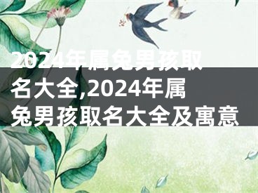 2024年属兔男孩取名大全,2024年属兔男孩取名大全及寓意