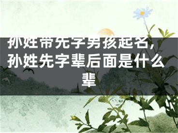 孙姓带先字男孩起名,孙姓先字辈后面是什么辈