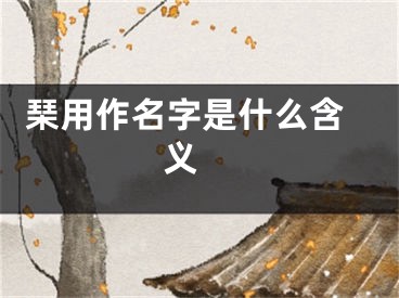  琹用作名字是什么含义 