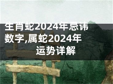 生肖蛇2024年忌讳数字,属蛇2024年运势详解