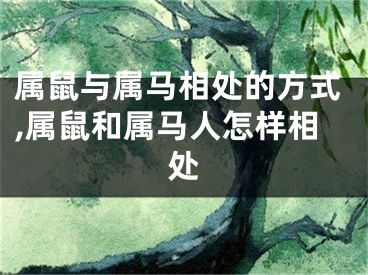 属鼠与属马相处的方式,属鼠和属马人怎样相处