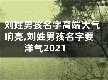 刘姓男孩名字高端大气响亮,刘姓男孩名字要洋气2021