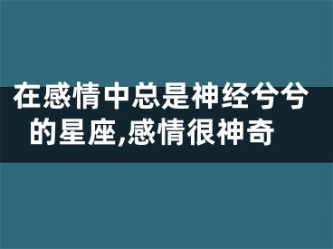 在感情中总是神经兮兮的星座,感情很神奇