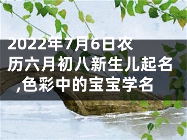 2022年7月6日农历六月初八新生儿起名,色彩中的宝宝学名