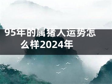 95年的属猪人运势怎么样2024年