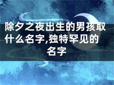 除夕之夜出生的男孩取什么名字,独特罕见的名字