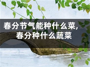 春分节气能种什么菜,春分种什么蔬菜