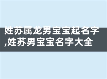 姓苏属龙男宝宝起名字,姓苏男宝宝名字大全