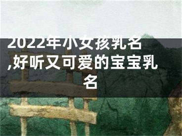 2022年小女孩乳名,好听又可爱的宝宝乳名