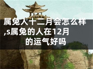 属兔人十二月会怎么样,s属兔的人在12月的运气好吗