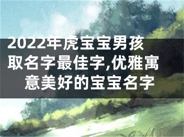 2022年虎宝宝男孩取名字最佳字,优雅寓意美好的宝宝名字