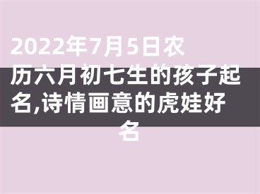 2022年7月5日农历六月初七生的孩子起名,诗情画意的虎娃好名