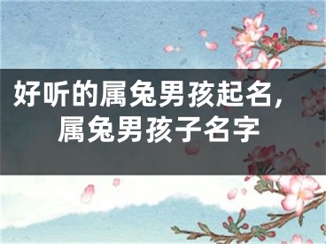 好听的属兔男孩起名,属兔男孩子名字