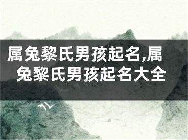 属兔黎氏男孩起名,属兔黎氏男孩起名大全