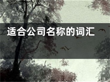  适合公司名称的词汇 