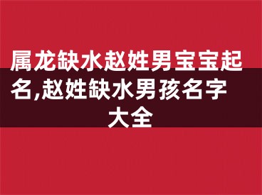 属龙缺水赵姓男宝宝起名,赵姓缺水男孩名字大全