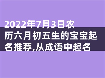 2022年7月3日农历六月初五生的宝宝起名推荐,从成语中起名