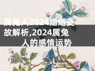 属兔人2024婚姻变故解析,2024属兔人的感情运势