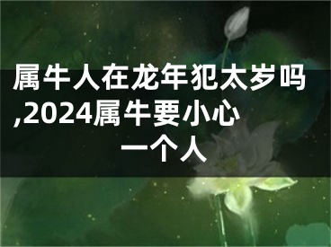 属牛人在龙年犯太岁吗,2024属牛要小心一个人