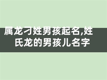 属龙刁姓男孩起名,姓氏龙的男孩儿名字