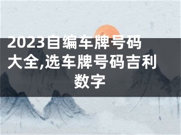 2023自编车牌号码大全,选车牌号码吉利数字