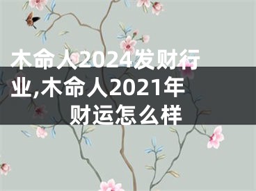 木命人2024发财行业,木命人2021年财运怎么样