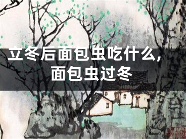 立冬后面包虫吃什么,面包虫过冬