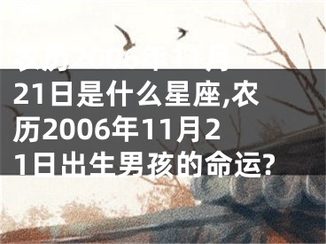 农历2006年11月21日是什么星座,农历2006年11月21日出生男孩的命运?