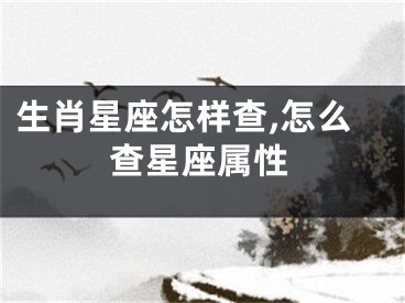 生肖星座怎样查,怎么查星座属性