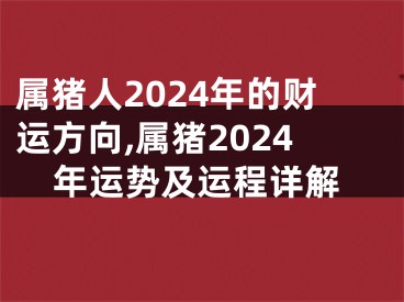 属猪人2024年的财运方向,属猪2024年运势及运程详解