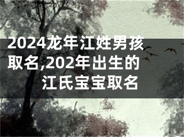 2024龙年江姓男孩取名,202年出生的江氏宝宝取名