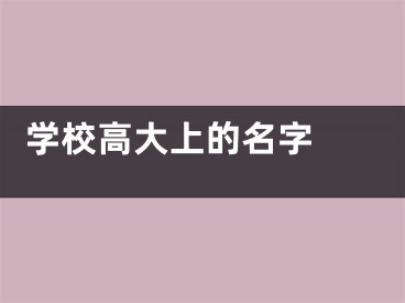  学校高大上的名字 