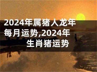 2024年属猪人龙年每月运势,2024年生肖猪运势