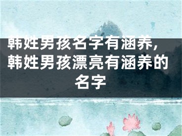 韩姓男孩名字有涵养,韩姓男孩漂亮有涵养的名字