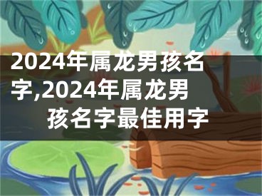 2024年属龙男孩名字,2024年属龙男孩名字最佳用字