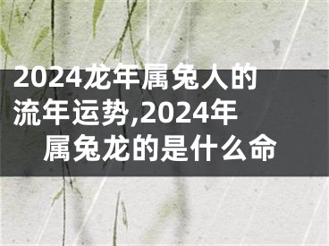 2024龙年属兔人的流年运势,2024年属兔龙的是什么命