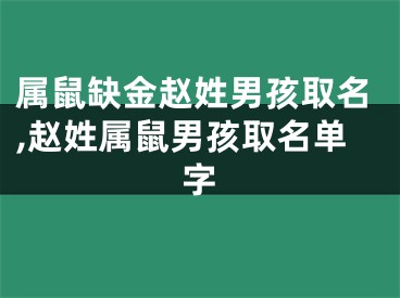 属鼠缺金赵姓男孩取名,赵姓属鼠男孩取名单字