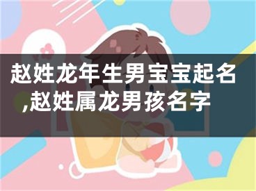 赵姓龙年生男宝宝起名,赵姓属龙男孩名字