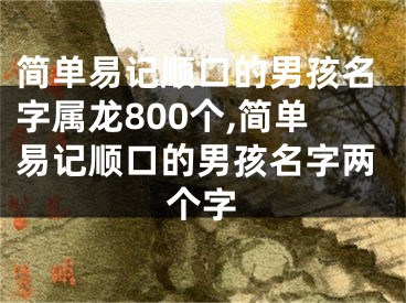 简单易记顺口的男孩名字属龙800个,简单易记顺口的男孩名字两个字