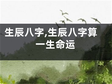 生辰八字,生辰八字算一生命运