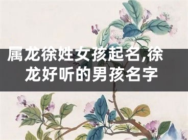 属龙徐姓女孩起名,徐龙好听的男孩名字