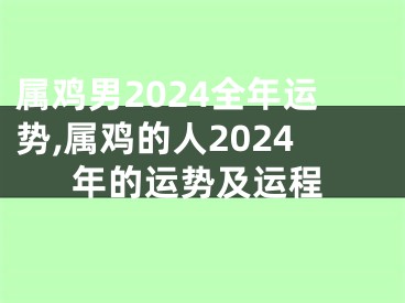 属鸡男2024全年运势,属鸡的人2024年的运势及运程