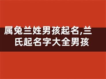 属兔兰姓男孩起名,兰氏起名字大全男孩