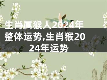 生肖属猴人2024年整体运势,生肖猴2024年运势