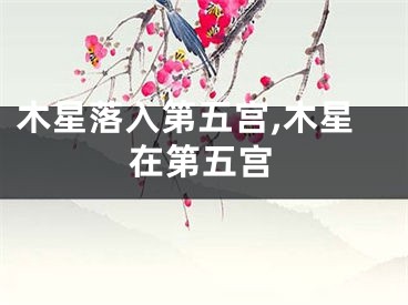 木星落入第五宫,木星在第五宫