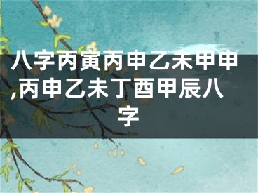 八字丙寅丙申乙未甲申,丙申乙未丁酉甲辰八字