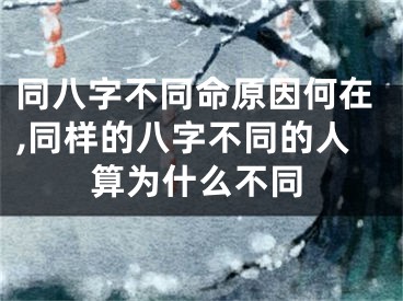 同八字不同命原因何在,同样的八字不同的人算为什么不同